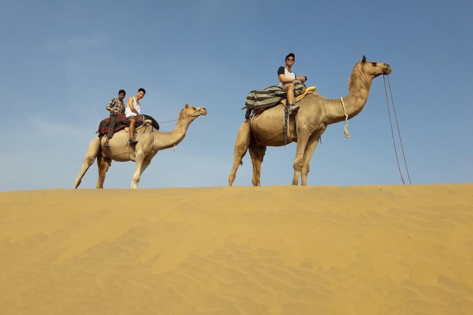 SR Camel Safari Tour Osian-Jodhpur - Key points to know before booking