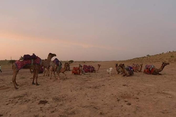 Sun Set Safari with Dinner - From fort walls to open sand