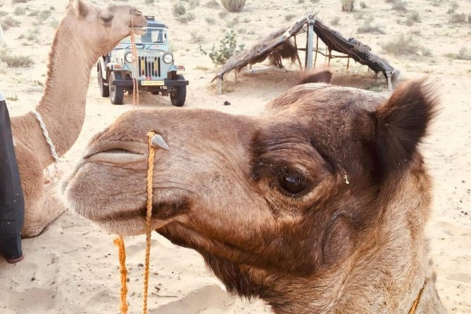 Sun Set Safari with Dinner - Khaba Fort: the first hour in the desert