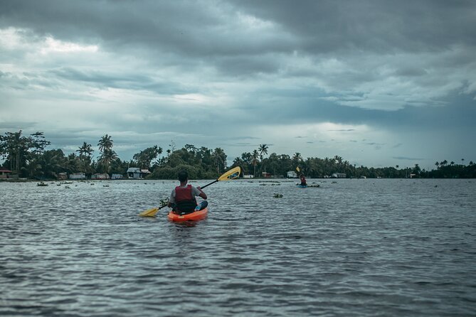 Sunrise Kayaking in Magical Alleppey Backwater Village - Why sunrise changes the Alleppey backwaters