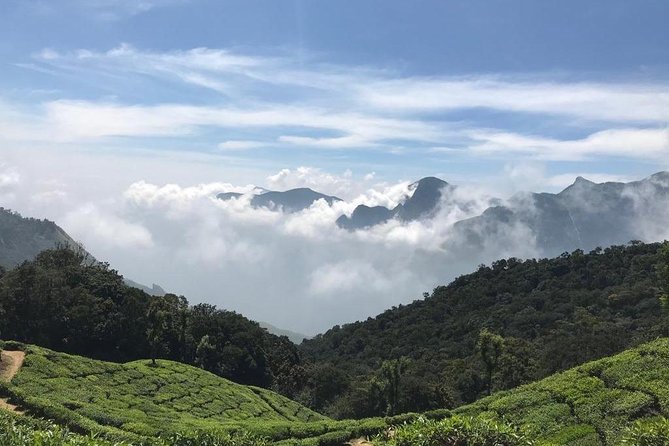 Sunrise Tour in Top Station, Munnar ( By Munnar Info) - Photo Point, tea gardens, and Yellapatty