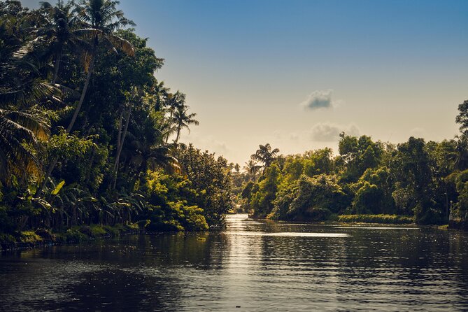 Sunset Cruise with Village Life and Local Food - Starting at Cheepunkal at 3:30 p.m.