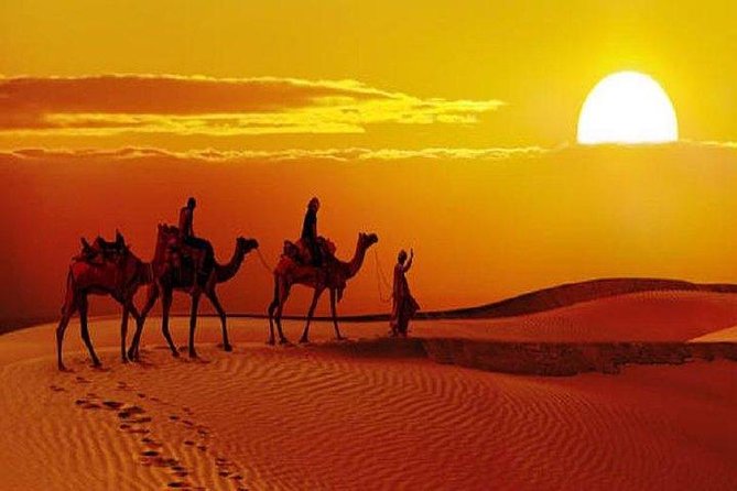 Sunset Safari With Dinner - Who should book this sunset safari?