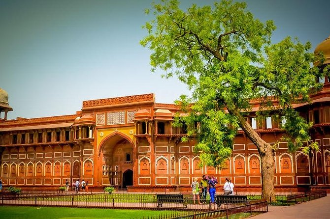 Taj Mahal & Agra Fort Tour from Agra City - Private transport from Agra hotels, stations, and the airport