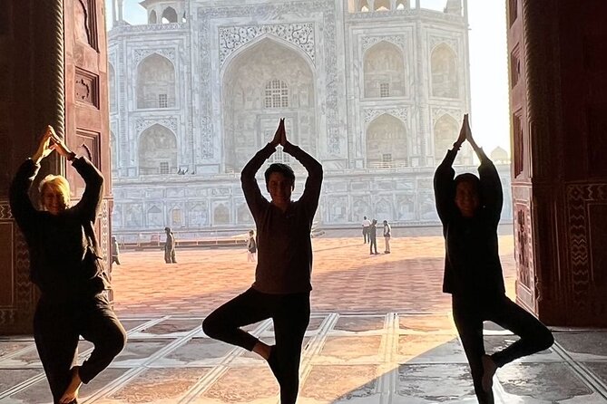 Taj Mahal skip the line luxury tour with guide - Who should book this Agra day trip