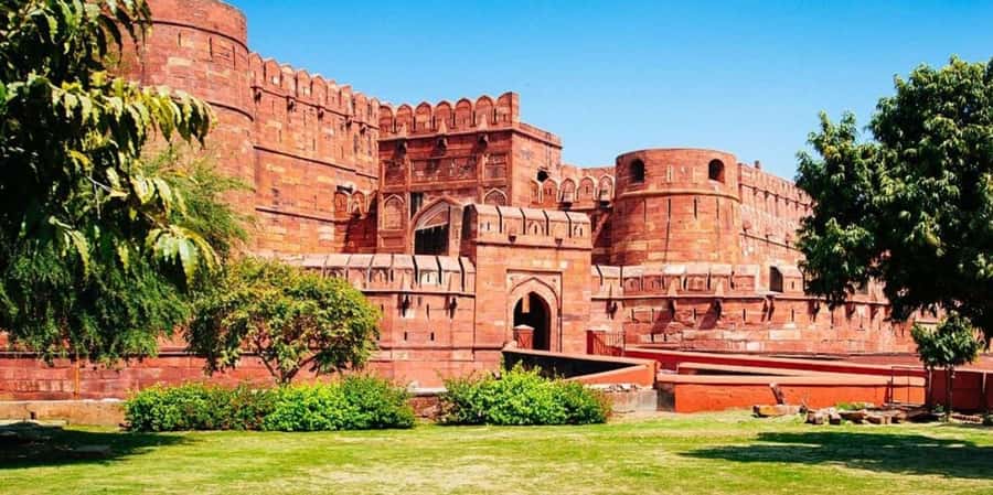 Taj Mahal Tour with Optional Wildlife Rescue Center Visit - The drivers and guides shape the whole day