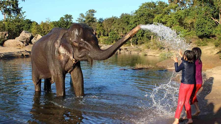 Taj Mahal Tour with Optional Wildlife Rescue Center Visit - Inside the Taj Mahal with a guide