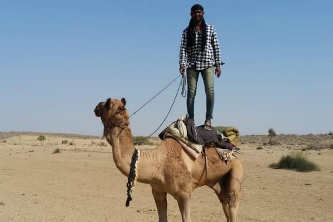 Thar Desert Camel Tour, Guide with over 25 years of experience! - Key points before you book