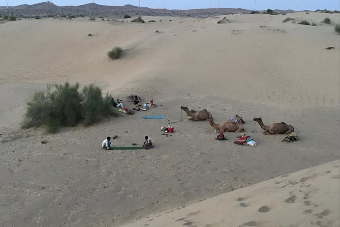 Thar Desert Camel Tour, Guide with over 25 years of experience! - Choosing between a half-day ride and an overnight safari