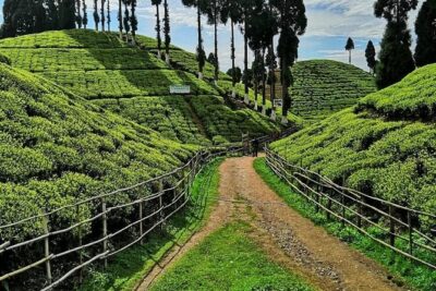The Land Mark Tour (Nautical Day Darjeeling To Mirik crusade)