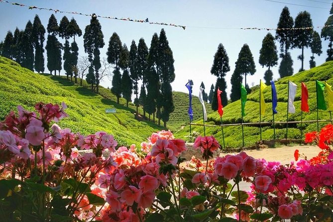 The Land Mark Tour (Nautical Day Darjeeling To Mirik crusade) - Food, shopping, and extra costs