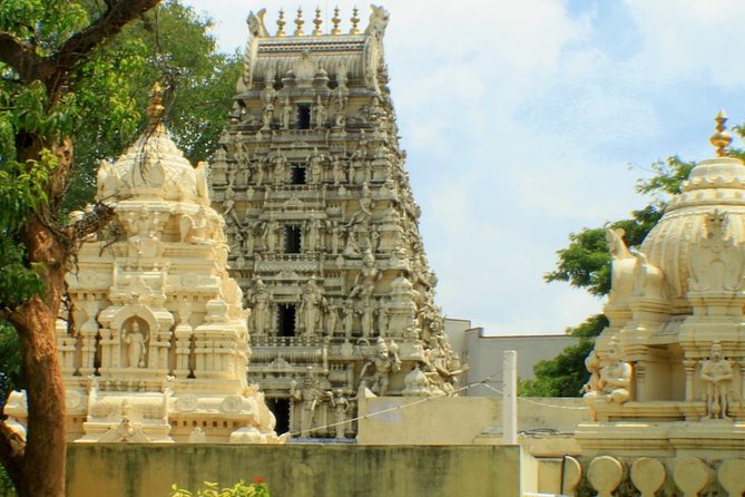 The story of Tipu Sultan, an immersive walking tour in Bangalore - What the small group and guide service add