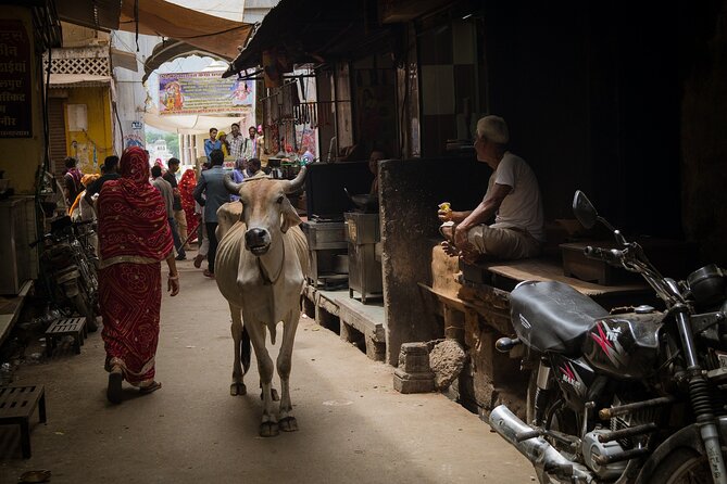 The Ultimate 3 Days in Varanasi - How to Spend 39 Hours - For First Timers - Day Two: Assi Ghat Before Sunrise