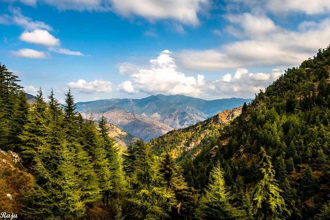 Top Tibba Trek - Mussoorie - Practical preparation for the climb