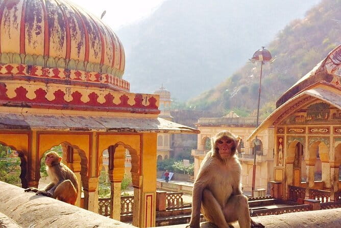 Travel Through the Streets of Jaipur by Tuktuk with a Local - Water Palace and the royal sights inside Jaipur
