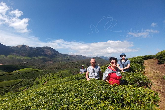 Trekking in Munnar - Reaching the ridge at approximately 1,950 meters