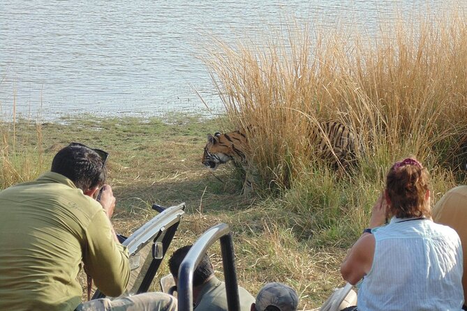 Two Night Safari Experience Ranthambore National Park &Transfers - Day 2: Two safari drives in Ranthambore National Park