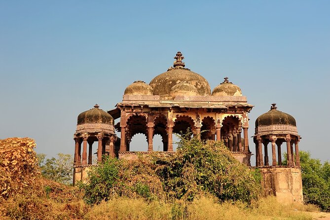 Two Night Safari Experience Ranthambore National Park &Transfers - Day 3: The Chambal River and a different kind of wildlife