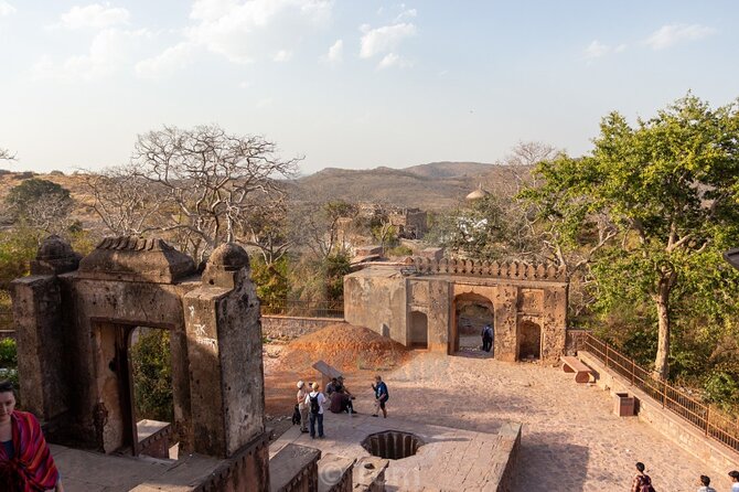Two Night Safari Experience Ranthambore National Park &Transfers - Who should choose this safari?