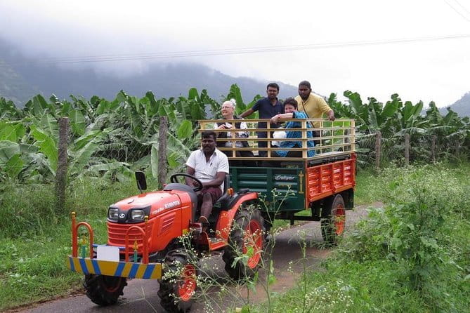 Village Bike Tour & Birdwatching - Cycling through Kerala’s fish-farming country