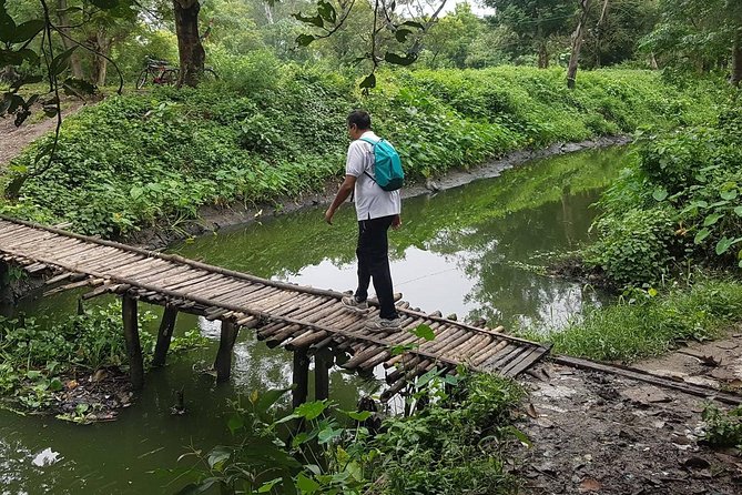 Walk the Kolkata Wetlands: Green Eye Candy - Key points to know before booking