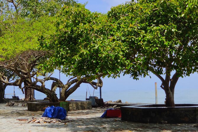 Walking Tour Of Fortkochi & Local Lunch - The Chinese fishing nets by the water