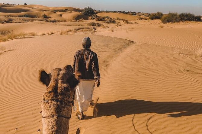 Wild Desert Overnight Safari - Meeting in Jaisalmer at 2 p.m.