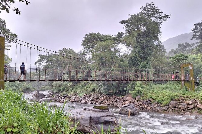 Wild Elephant Anakulam & Waterfalls Tour(munnar valley Trekking) - From Munnar town to Letchmi’s tea country
