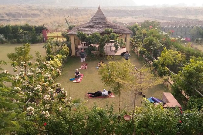 Yoga In Jaipur - Key points to know before booking