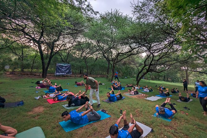 Yoga in Jaipur with Amit (Yogi on Travel) - Is $18.16 per person good value?